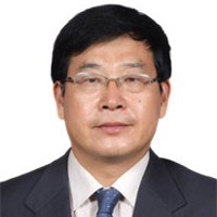 Professor Licheng Qiu